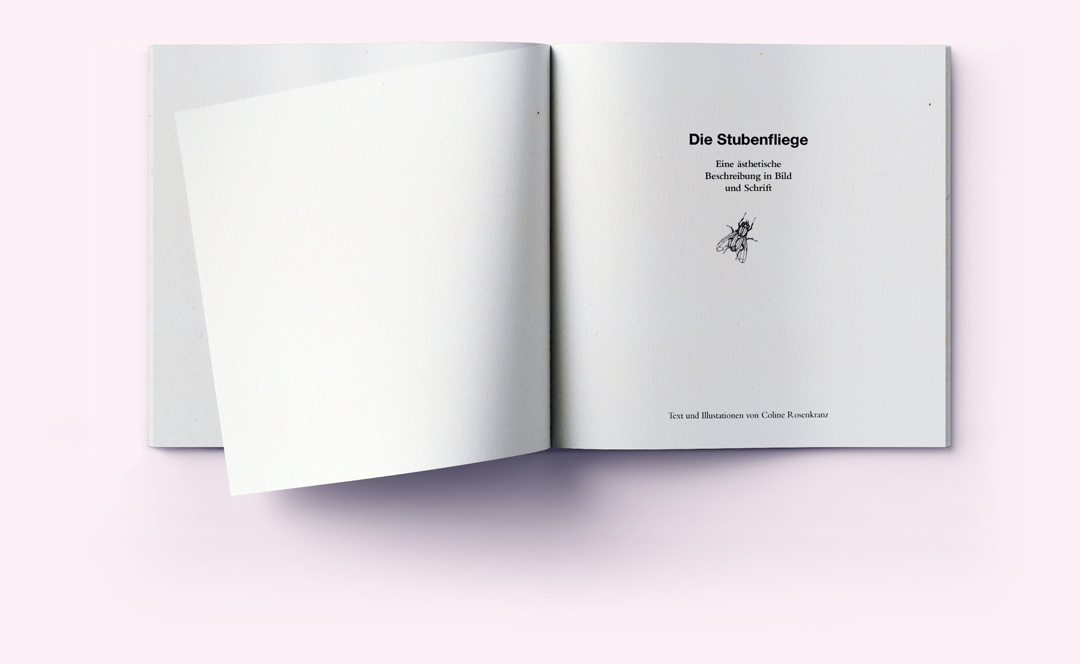 Fliegenbuch_Mockup_01